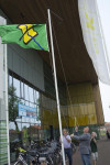 Vlag in top 