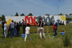 Graffiti 