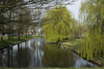 Zwanenwater